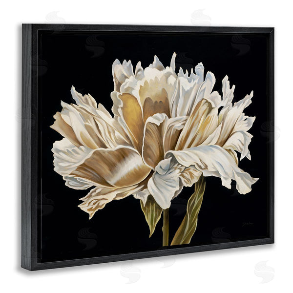 Stupell Industries Liz Jardine | Vintage Petals Over Black Wall Art