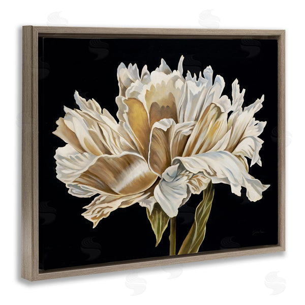 Stupell Industries Liz Jardine | Vintage Petals Over Black Wall Art