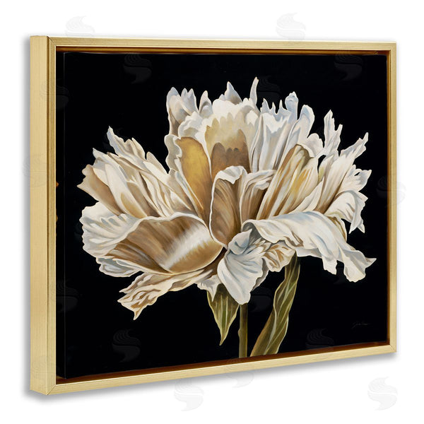 Stupell Industries Liz Jardine | Vintage Petals Over Black Wall Art