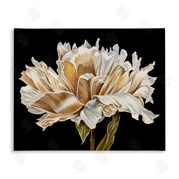 stupell industries Liz Jardine | Vintage Petals over Black Wall Art