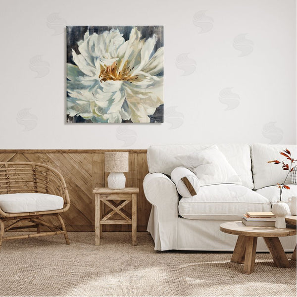 Stupell Industries Liz Jardine | White Flower Blossom Wall Art