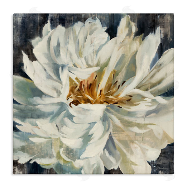 stupell industries Liz Jardine | White Flower Blossom Wall Art