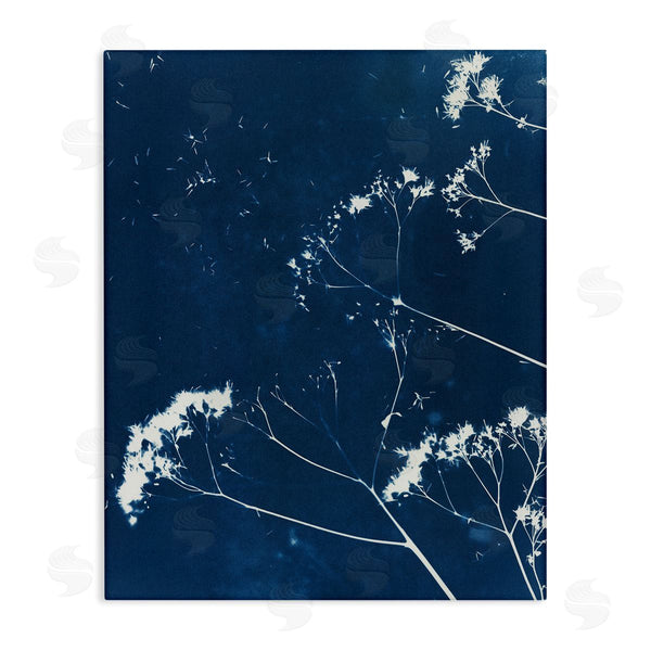 stupell industries Liz St. Andre | Navy Blue Botanical Sprouts Wall Art
