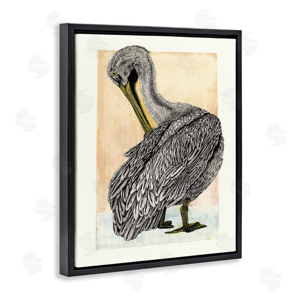 Stupell Industries Liz Sunridge | Detailed Pelican Drawing Wall Art