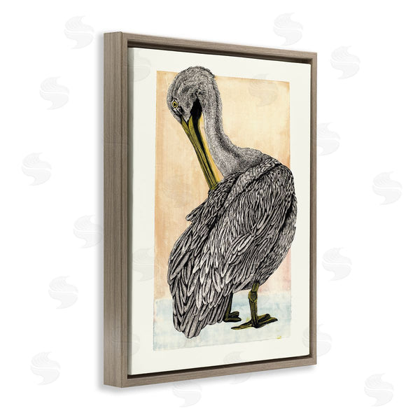 Stupell Industries Liz Sunridge | Detailed Pelican Drawing Wall Art