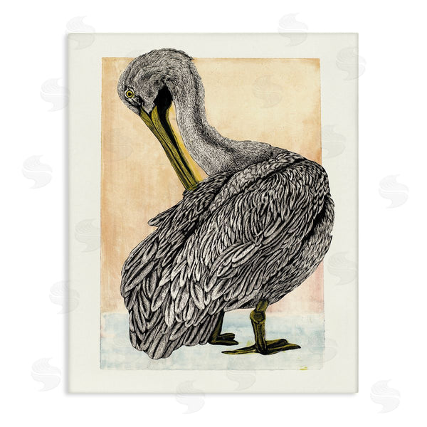 stupell industries Liz Sunridge | Detailed Pelican Drawing Wall Art