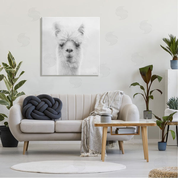 Stupell Industries Lori Deiter | Alpaca Portrait Country Farm Animal Wall Art