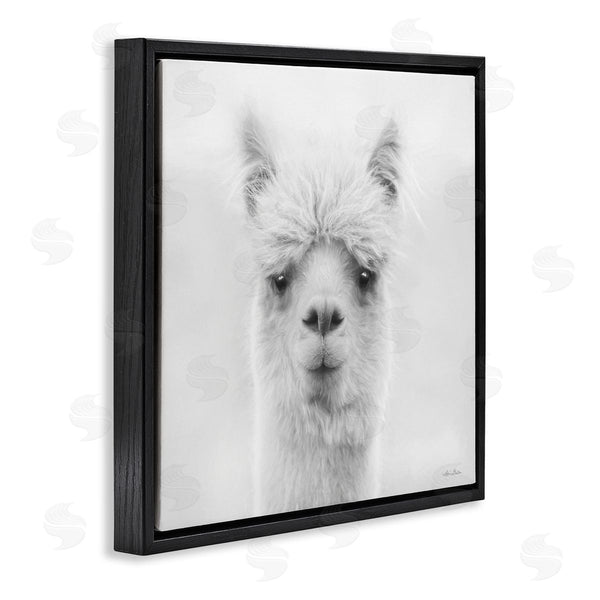 Stupell Industries Lori Deiter | Alpaca Portrait Country Farm Animal Wall Art