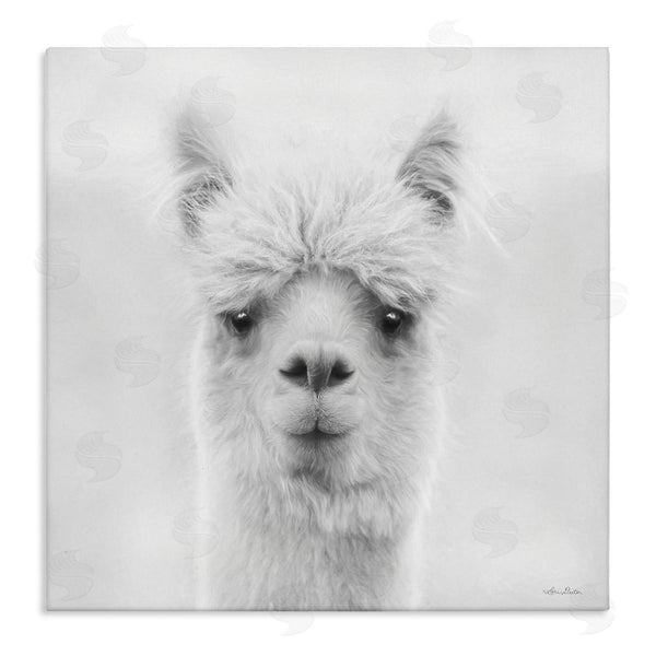 stupell industries Lori Deiter | Alpaca Portrait Country Farm Animal Wall Art