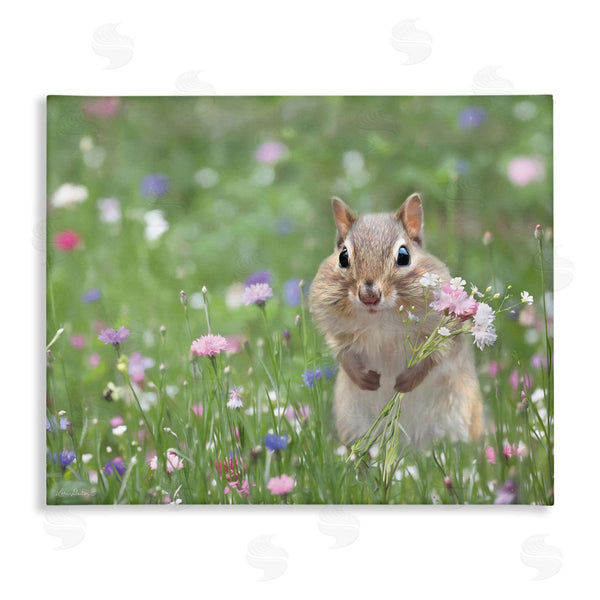 stupell industries Lori Deiter | Chipmunk Picking Flowers