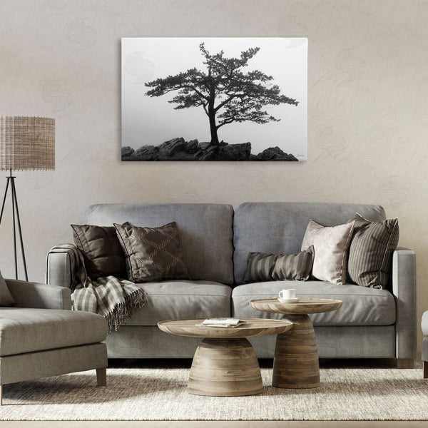 Stupell Industries Lori Deiter | Lone Tree On Rocks Wall Art