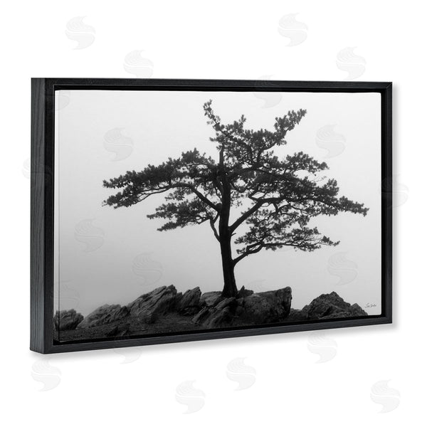 Stupell Industries Lori Deiter | Lone Tree On Rocks Wall Art