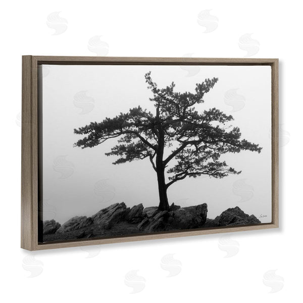 Stupell Industries Lori Deiter | Lone Tree On Rocks Wall Art