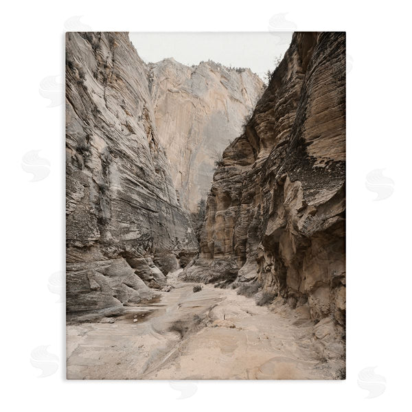 stupell industries Lori Deiter | Looming Sandy Cliffs