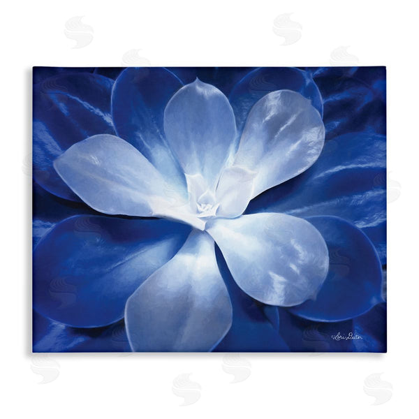 stupell industries Lori Deiter | Monochromatic Blue Succulent Plant Detailed Botanical Petals Wall Art