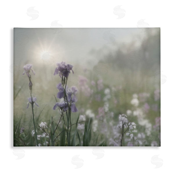 stupell industries Lori Deiter | Morning Violet Field Blooming Sung Glare Photography Wall Art