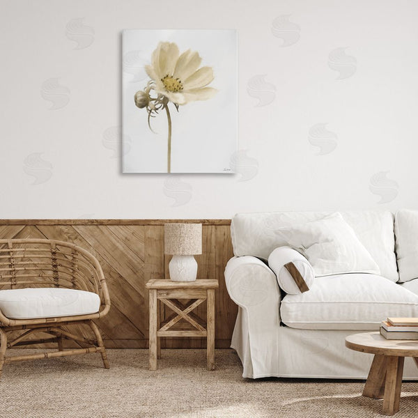 Stupell Industries Lori Deiter | Simple Beauty Soft Flower Wall Art