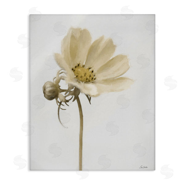 stupell industries Lori Deiter | Simple Beauty Soft Flower Wall Art