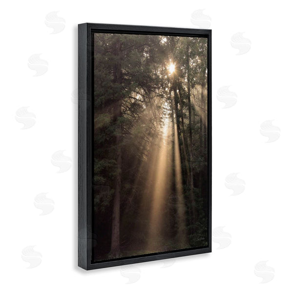 Stupell Industries Lori Deiter | Sunlight Through Tree Canopy