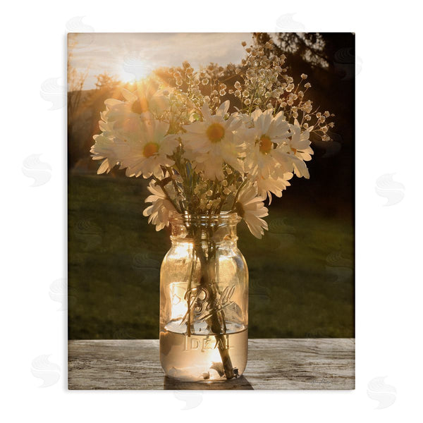 stupell industries Lori Deiter | Warm Meadow Daisies in Jar