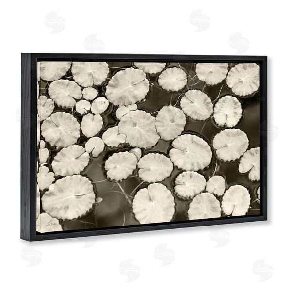 Stupell Industries Lori Deiter | White Floating Lily Pads Wall Art