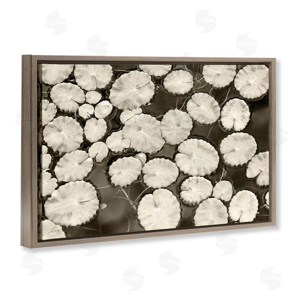 Stupell Industries Lori Deiter | White Floating Lily Pads Wall Art