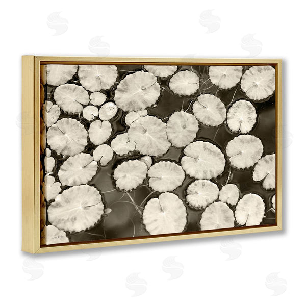 Stupell Industries Lori Deiter | White Floating Lily Pads Wall Art
