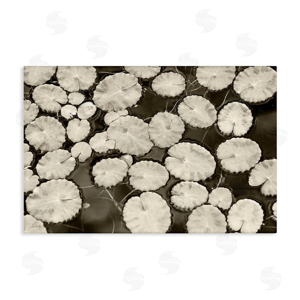 stupell industries Lori Deiter | White Floating Lily Pads Wall Art