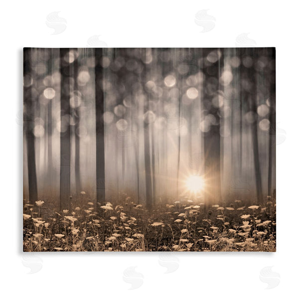 stupell industries Lori Deiter | Wild Flowers Foggy Forest Sunrise Horizon Bokeh Photography Wall Art