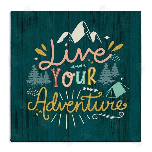 stupell industries Louise Allen Designs | Live Your Adventure Ornamented Outdoor Nature Rustic Background Wall Art