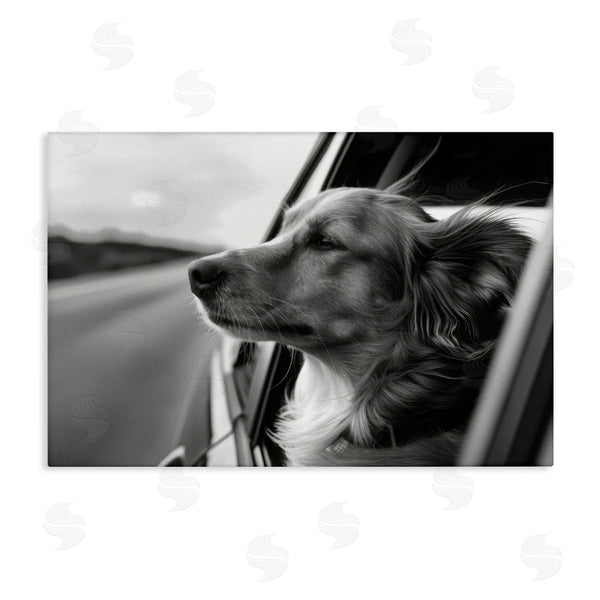 stupell industries LSR Creative Studio | Dog Out Car Window