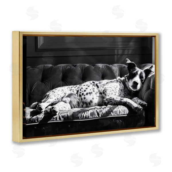 Stupell Industries LSR Creative Studio | Lounging Dog In Sun