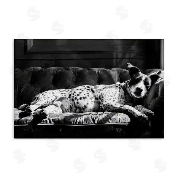 stupell industries LSR Creative Studio | Lounging Dog in Sun
