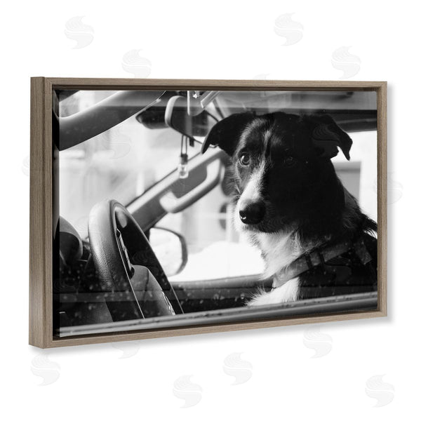 Stupell Industries LSR Creative Studio | Taxi Driver Dog