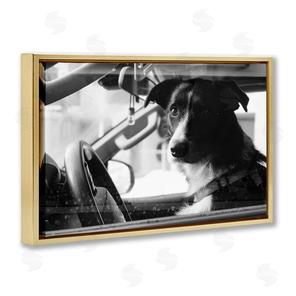 Stupell Industries LSR Creative Studio | Taxi Driver Dog