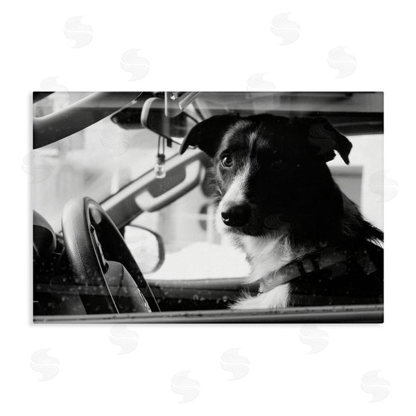 stupell industries LSR Creative Studio | Taxi Driver Dog