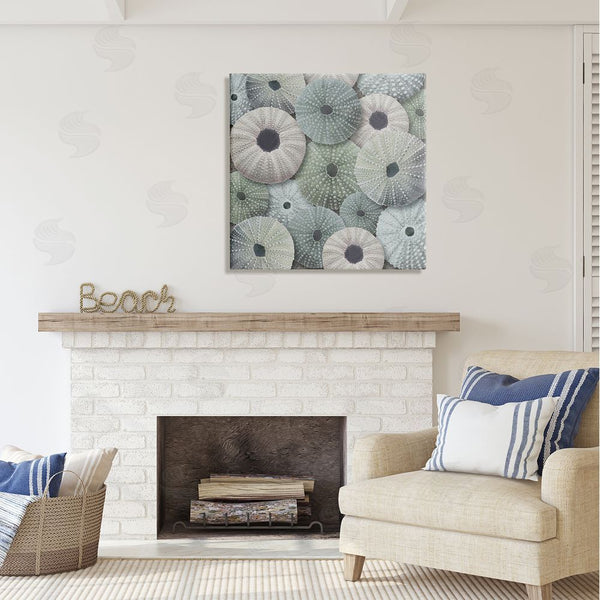 Stupell Industries LSR Design Studio | Abstract Sea Urchins Wall Art