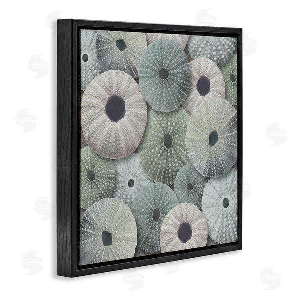 Stupell Industries LSR Design Studio | Abstract Sea Urchins Wall Art