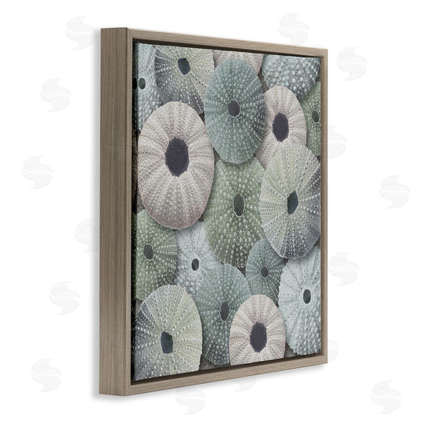 Stupell Industries LSR Design Studio | Abstract Sea Urchins Wall Art