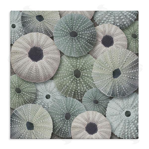stupell industries LSR Design Studio | Abstract Sea Urchins Wall Art