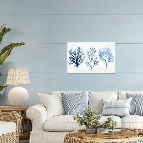 Stupell Industries LSR Design Studio | Blue Coral Types Trio