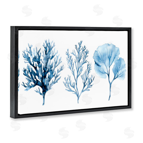 Stupell Industries LSR Design Studio | Blue Coral Types Trio