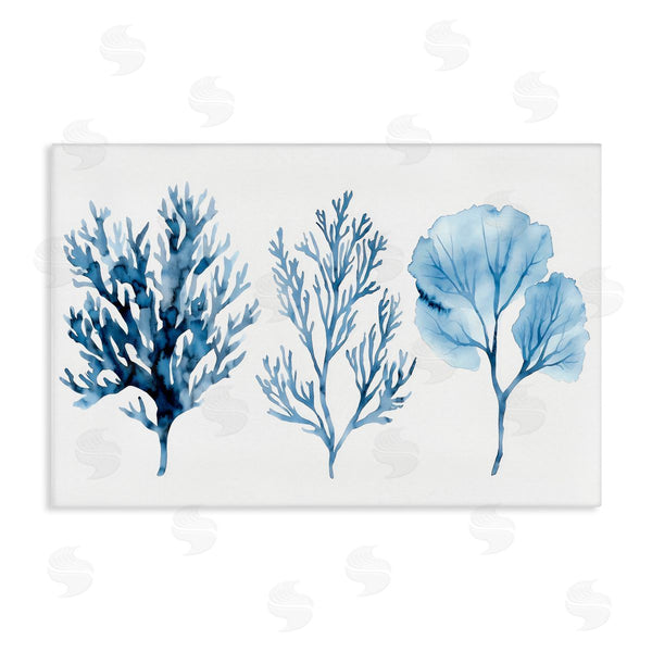 stupell industries LSR Design Studio | Blue Coral Types Trio
