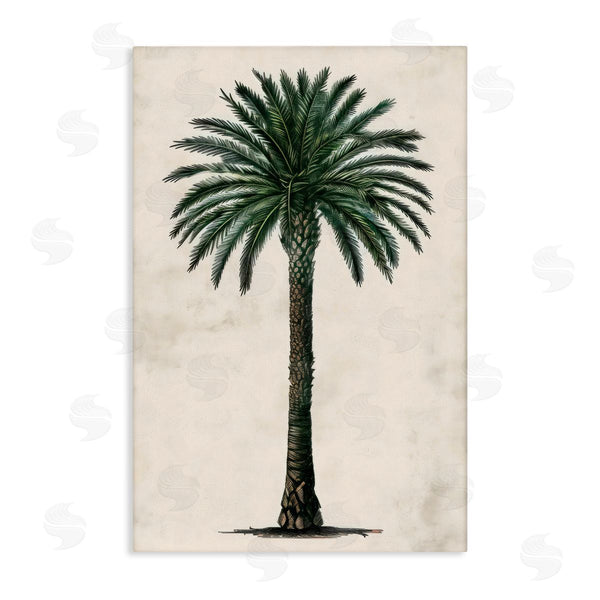 stupell industries LSR Design Studio | Botanical Rounded Palm Tree