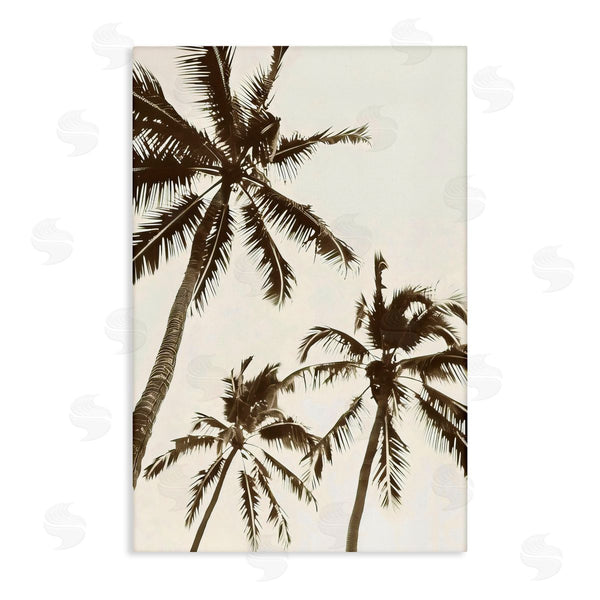 stupell industries LSR Design Studio | Classic Palm Trees Silhouette