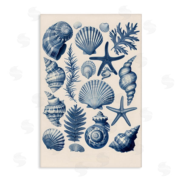stupell industries LSR Design Studio | Conch & Creature Collection