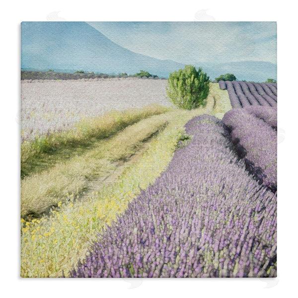 stupell industries LSR Design Studio | Country Lavender Fields Wall Art