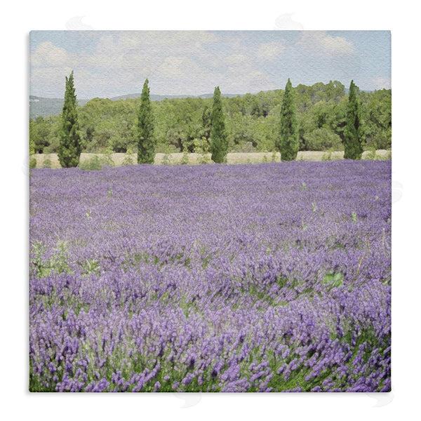 stupell industries LSR Design Studio | Country Lavender Meadow Wall Art