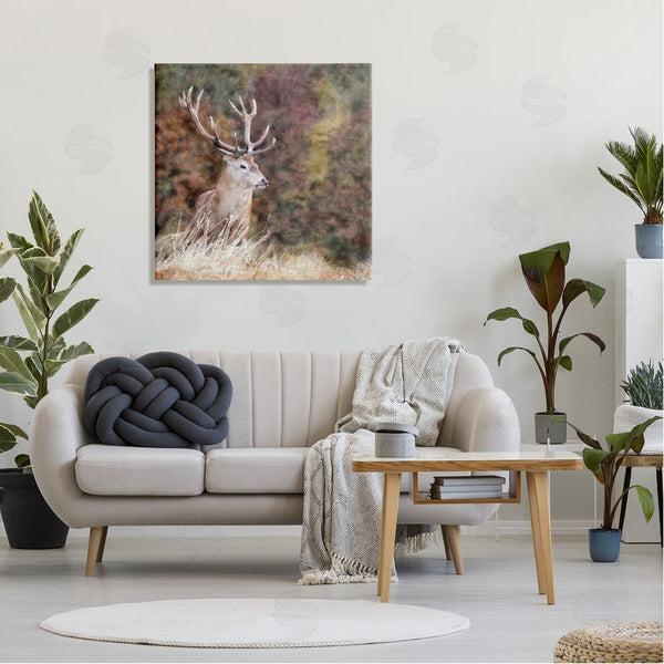 Stupell Industries LSR Design Studio | Deer In Forest Nature Wall Art