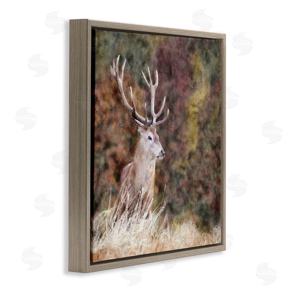 Stupell Industries LSR Design Studio | Deer In Forest Nature Wall Art